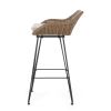 Outdoor 29.25'' Wicker and Iron Barstool with Cushion (Set of 2)