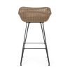 Outdoor 29.25'' Wicker and Iron Barstool with Cushion (Set of 2)